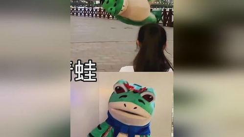 青蛙 搞笑视频,萌态百出，笑料连连