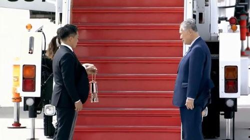 东京空姐在线播放,空中邂逅，浪漫启航