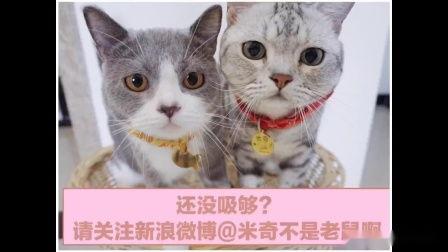 bl无码下载 迅雷下载 迅雷下载