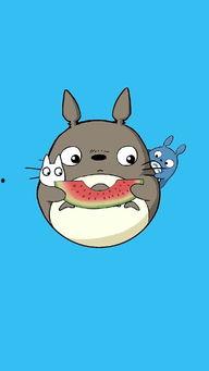 吃瓜娱乐龙猫,吃瓜娱乐中的治愈系萌宠传奇