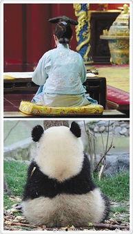 首席娱乐吃瓜群众